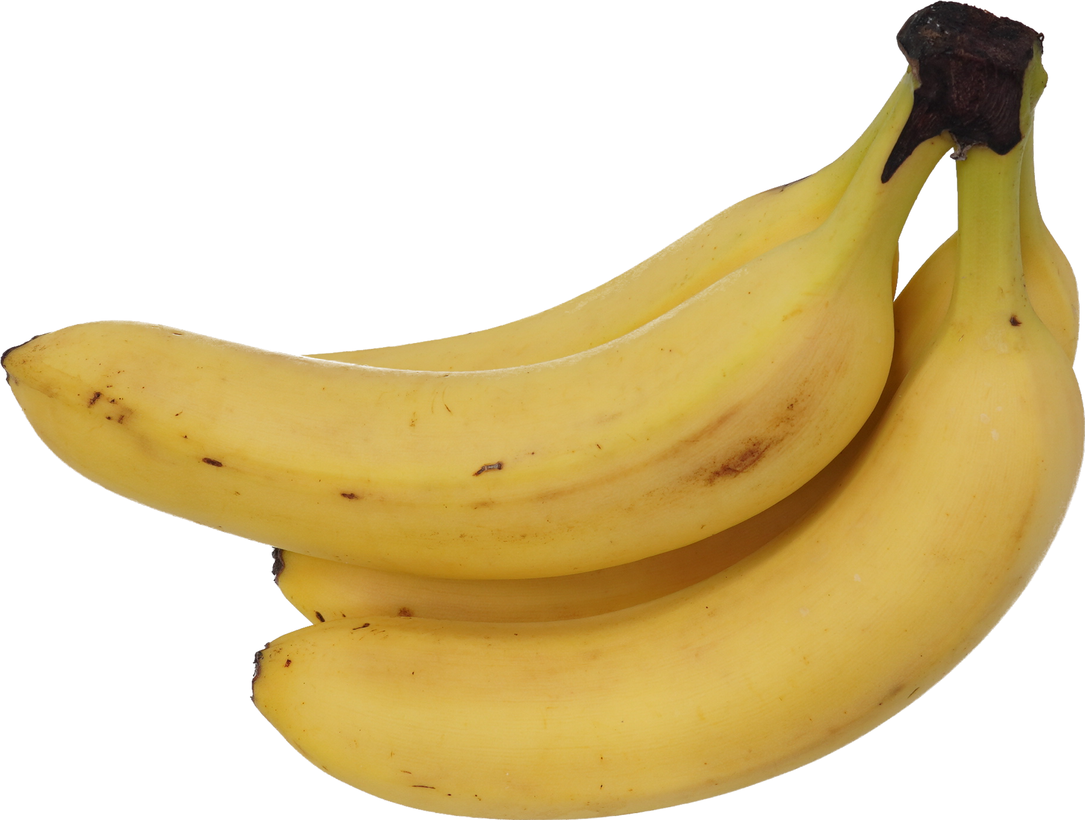 バナナ 食品画像のそざい屋さん 商用可の食べ物フリー画像配布サイト