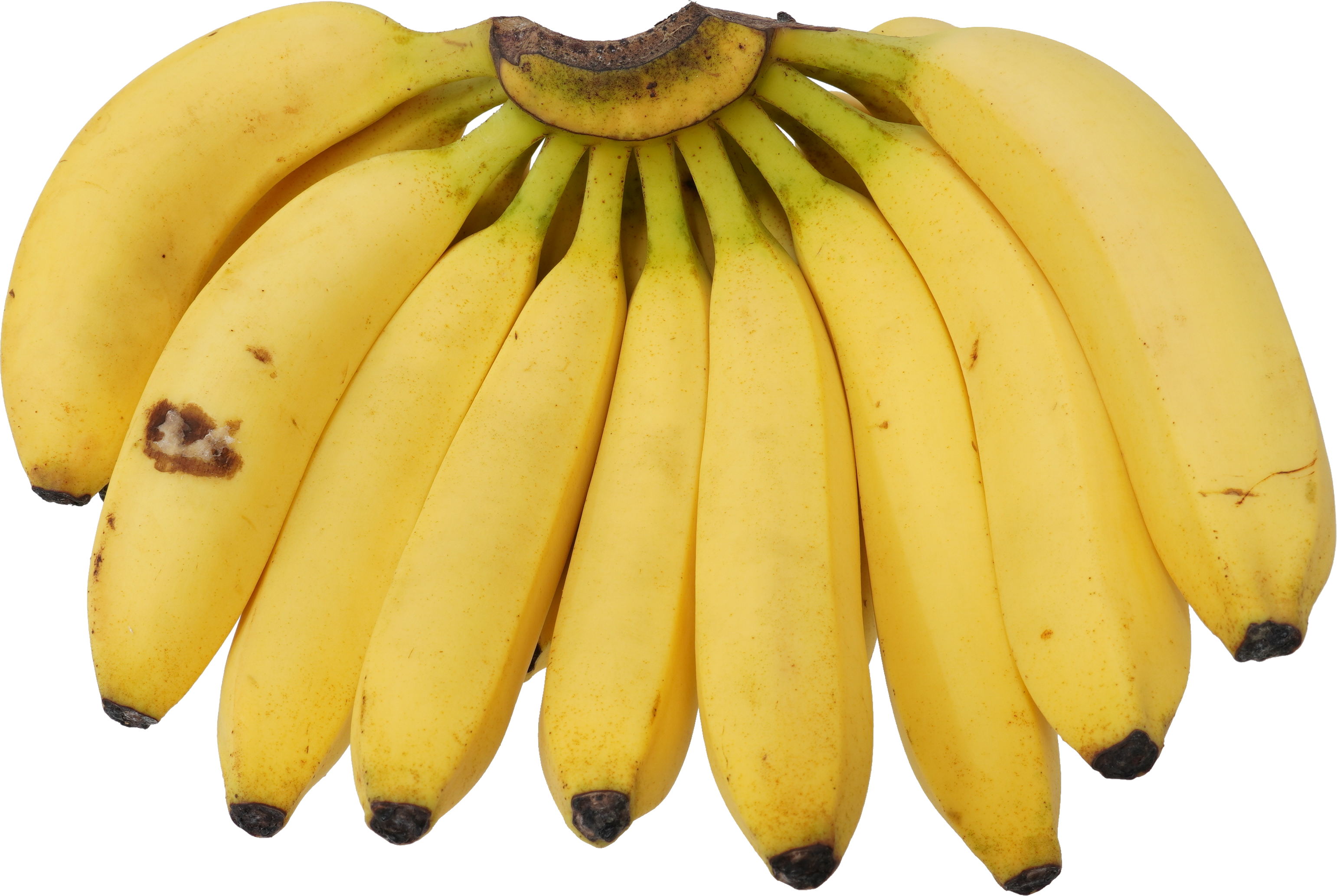 バナナ 食品画像のそざい屋さん 商用可の食べ物フリー画像配布サイト