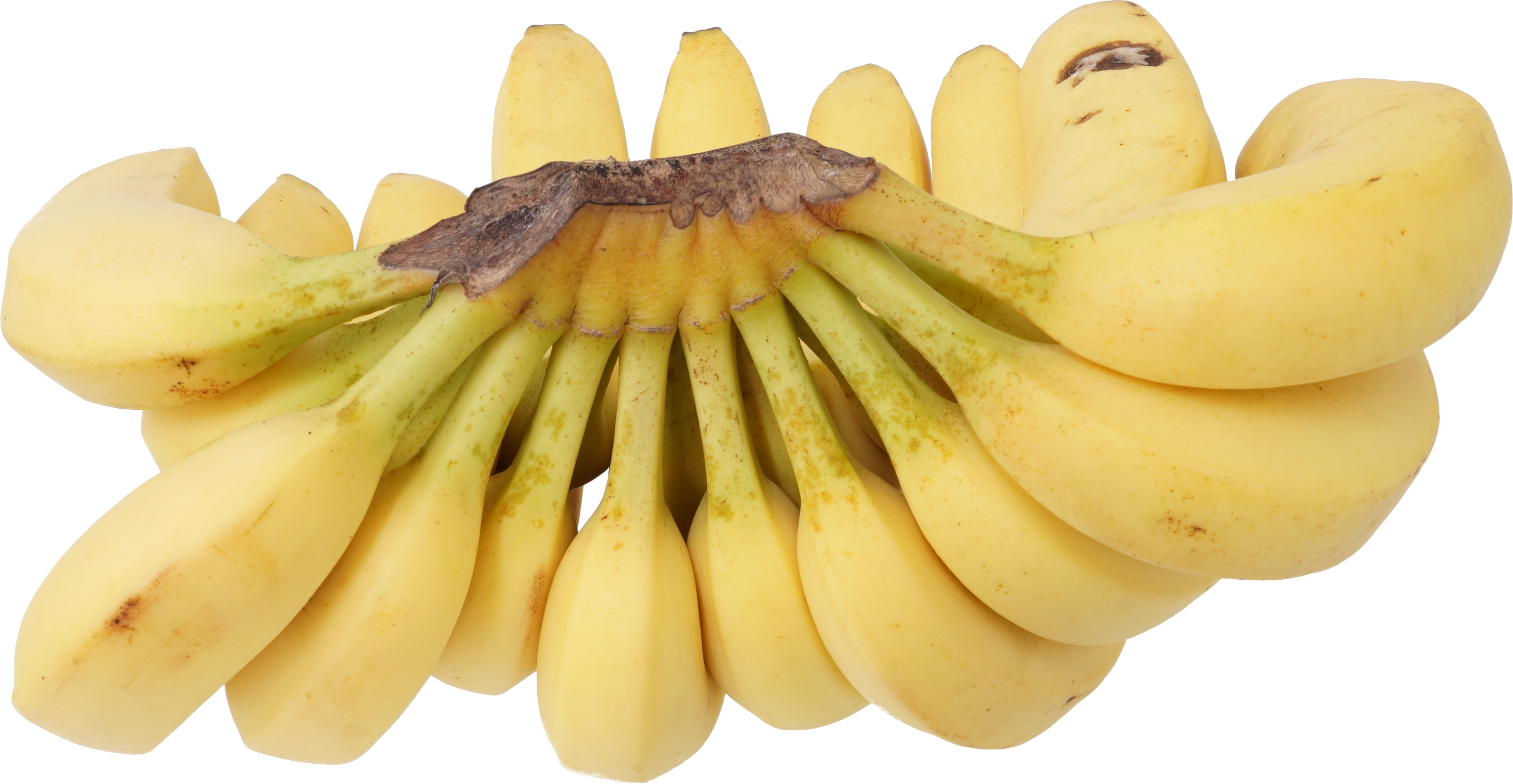 バナナ 食品画像のそざい屋さん 商用可の食べ物フリー画像配布サイト