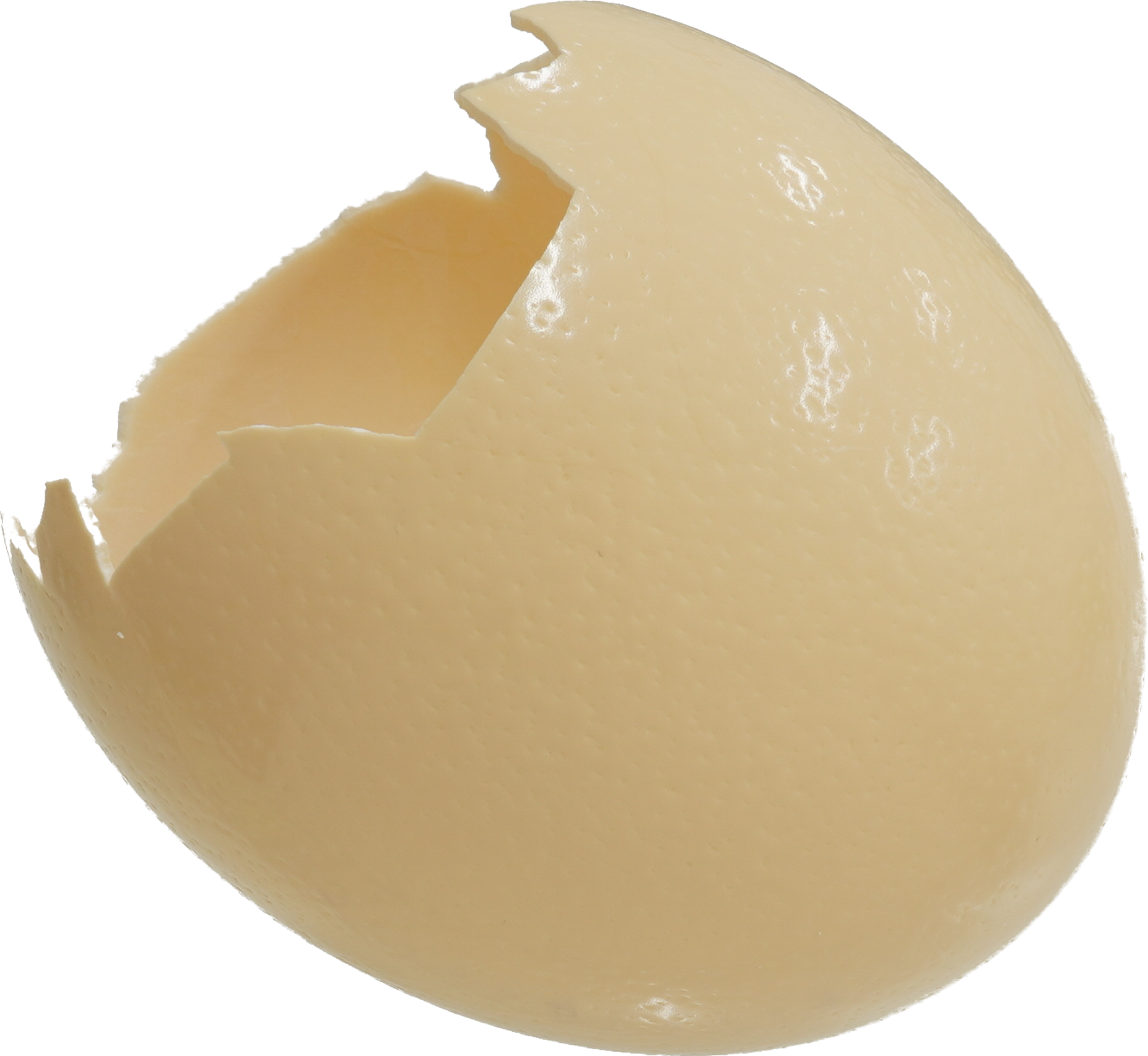 ダチョウ卵｜商用可フリー画像・背景透過