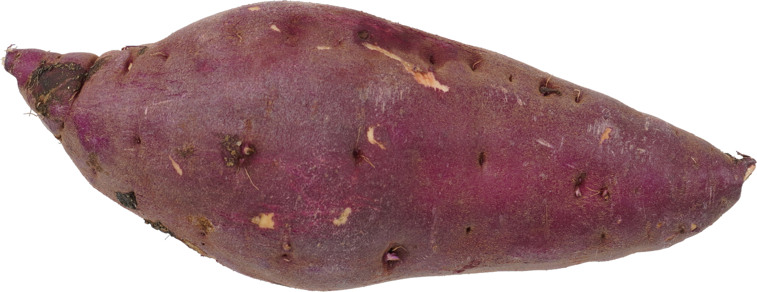 さつまいも|商用可フリー画像・背景透過