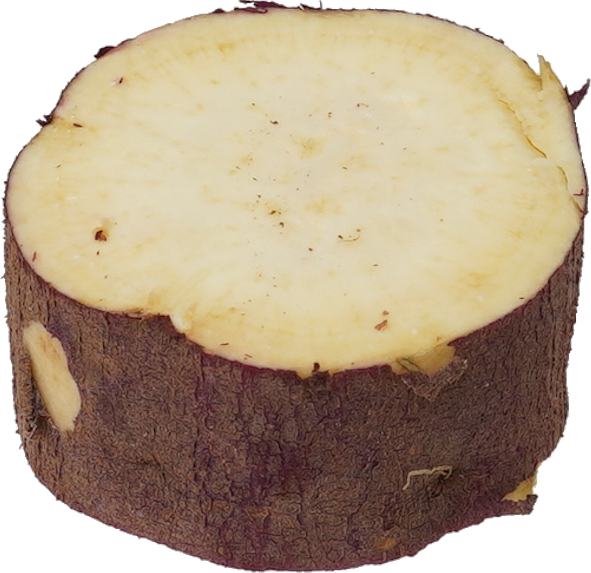 さつまいも|商用可フリー画像・背景透過