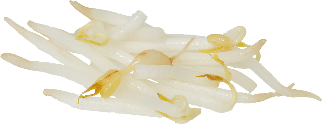 りょくとうもやし 食品画像のそざい屋さん 商用可の食べ物フリー画像配布サイト