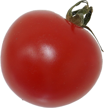 ミニトマト 食品画像のそざい屋さん 商用利用可のフリー画像配布サイト