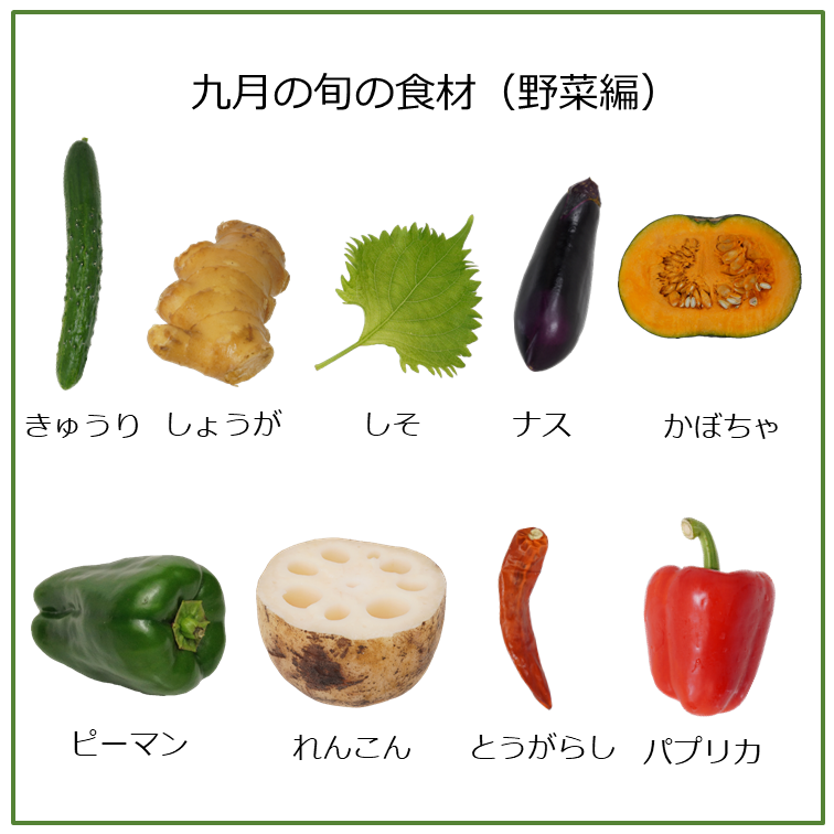 旬の食材　９月の野菜｜商用可フリー画像・背景透過