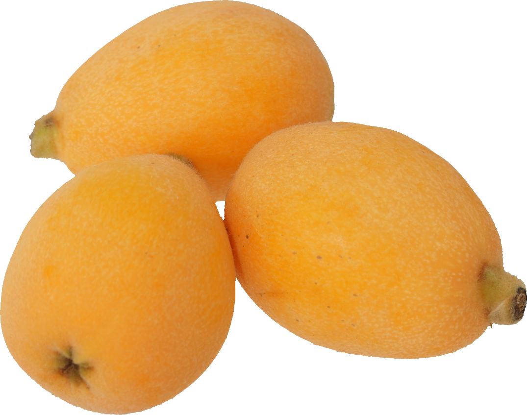 びわ 食品画像のそざい屋さん 商用可の食べ物フリー画像配布サイト