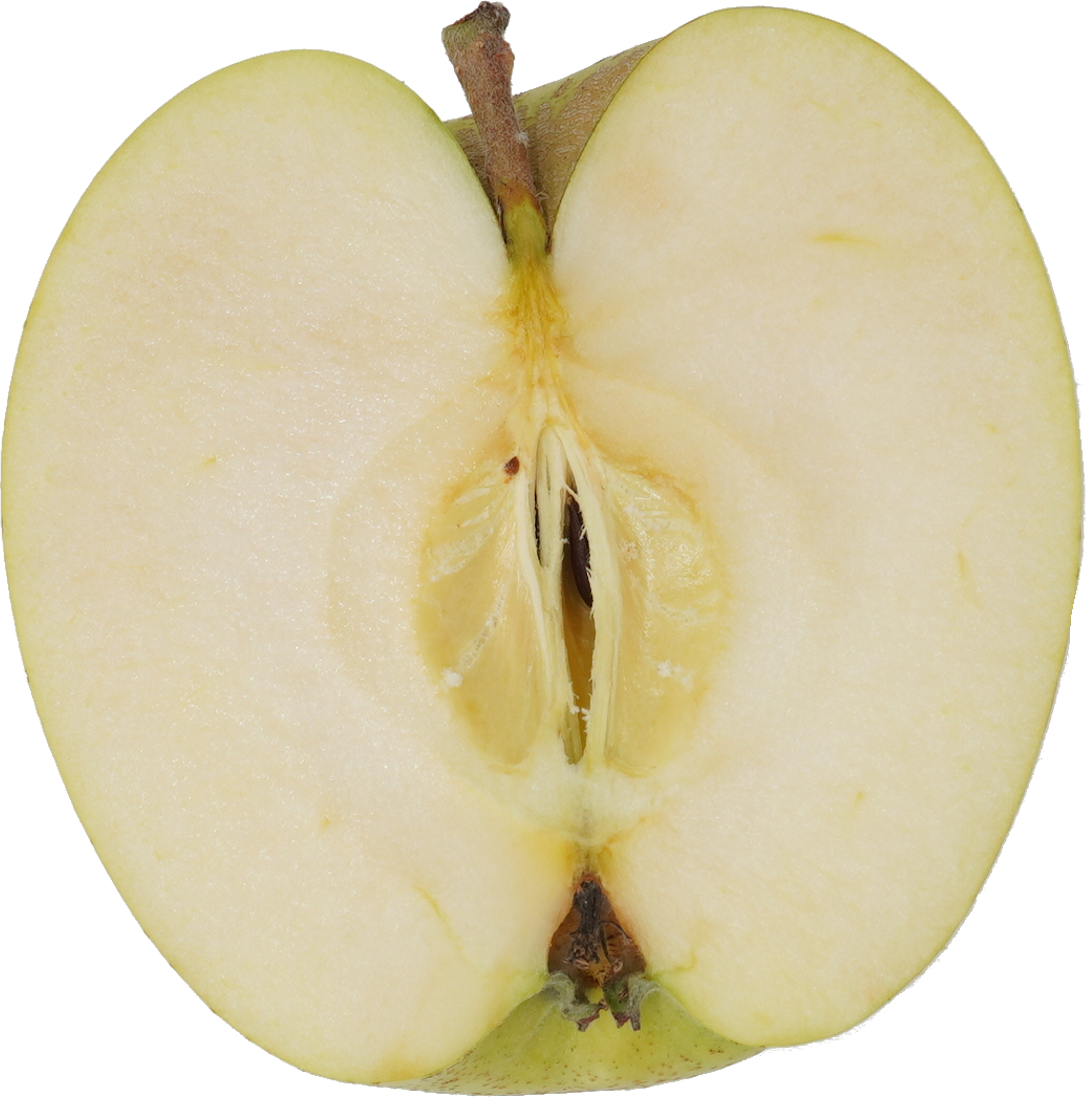 青りんご 食物画像のそざい屋さん 商用利用可のフリー画像配布サイト