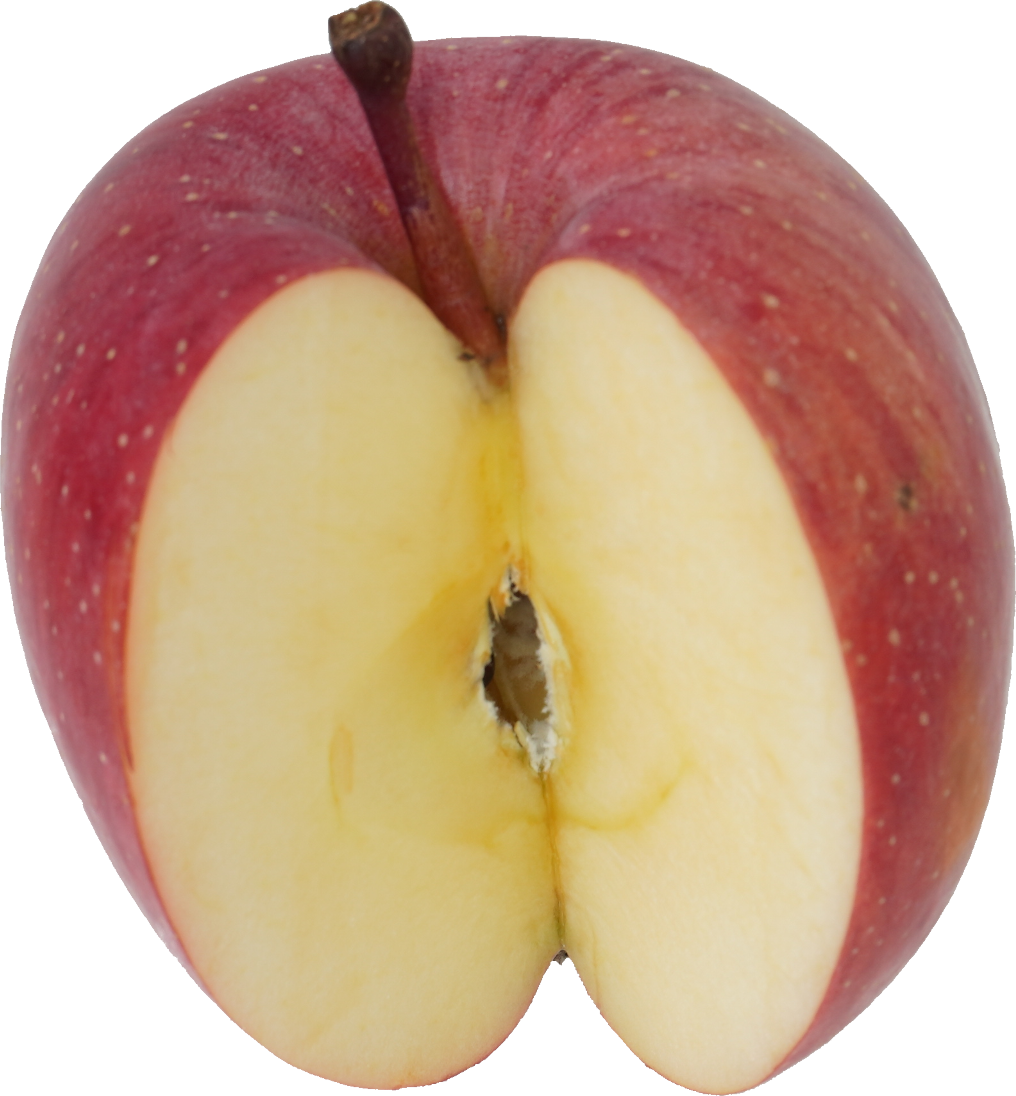 りんご 食品画像のそざい屋さん 商用可の食べ物フリー画像配布サイト