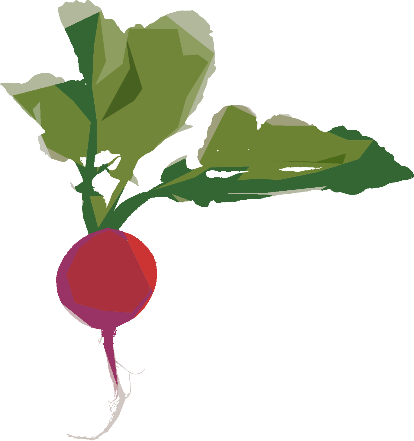 はつかだいこんのイラスト 食品画像のそざい屋さん 商用可の食べ物フリー画像配布サイト はつかだいこんのイラスト 食品画像のそざい屋さん 商用可の食べ物フリー画像配布サイト