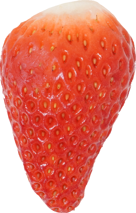 いちご 食品画像のそざい屋さん 商用可の食べ物フリー画像配布サイト