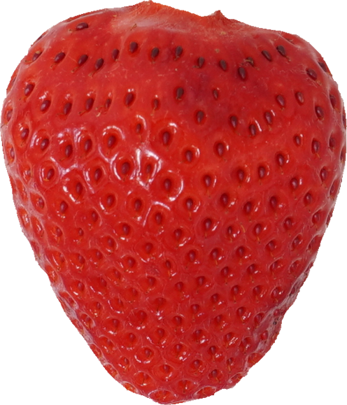 いちご 食品画像のそざい屋さん 商用可の食べ物フリー画像配布サイト
