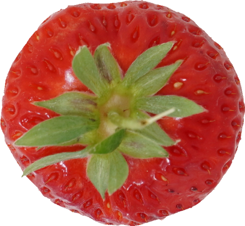 いちご 食品画像のそざい屋さん 商用可の食べ物フリー画像配布サイト