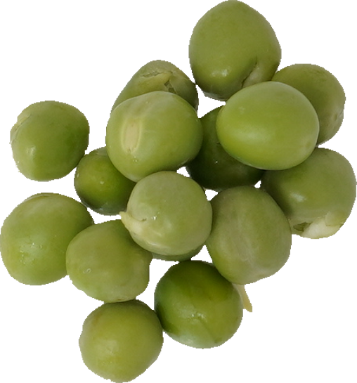 グリンピース 食品画像のそざい屋さん 商用可の食べ物フリー画像配布サイト