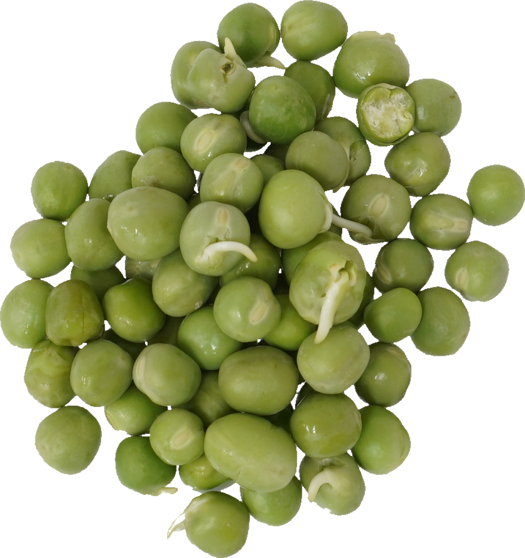 グリンピース 食品画像のそざい屋さん 商用可の食べ物フリー画像配布サイト