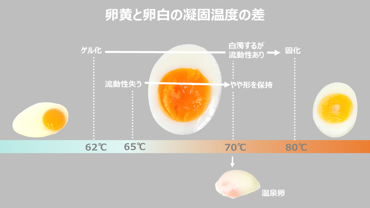 卵黄と卵白の凝固温度の差｜商用可フリー画像・背景透過