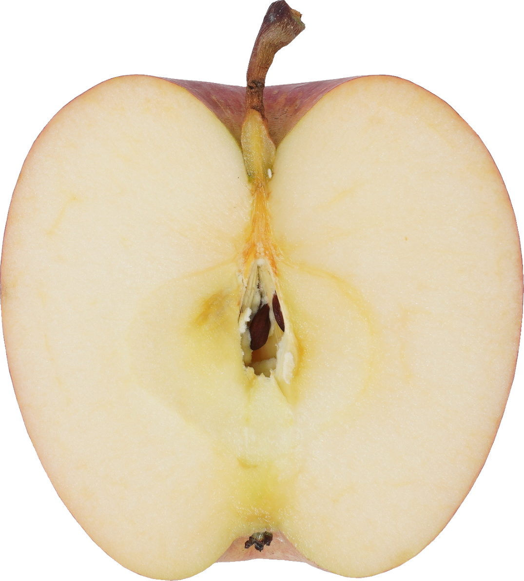 りんご 食品画像のそざい屋さん 商用可の食べ物フリー画像配布サイト