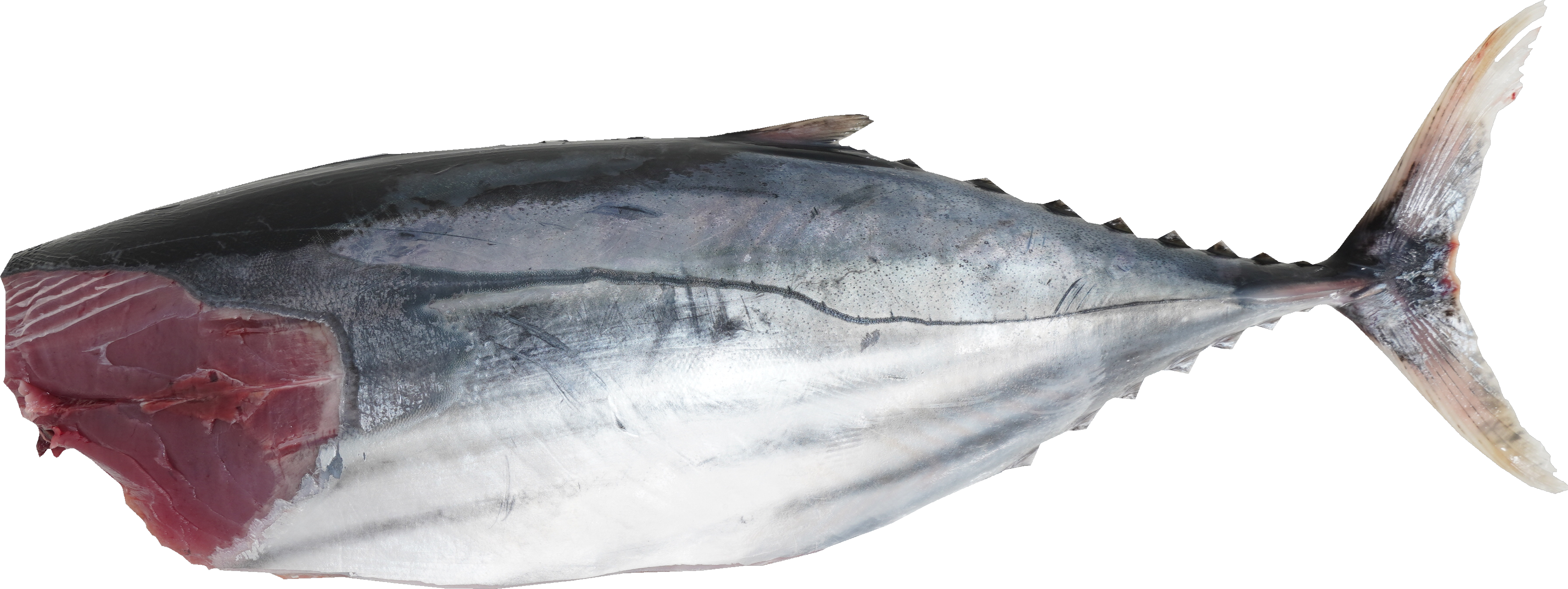 かつお 食品画像のそざい屋さん 商用可の食べ物フリー画像配布サイト