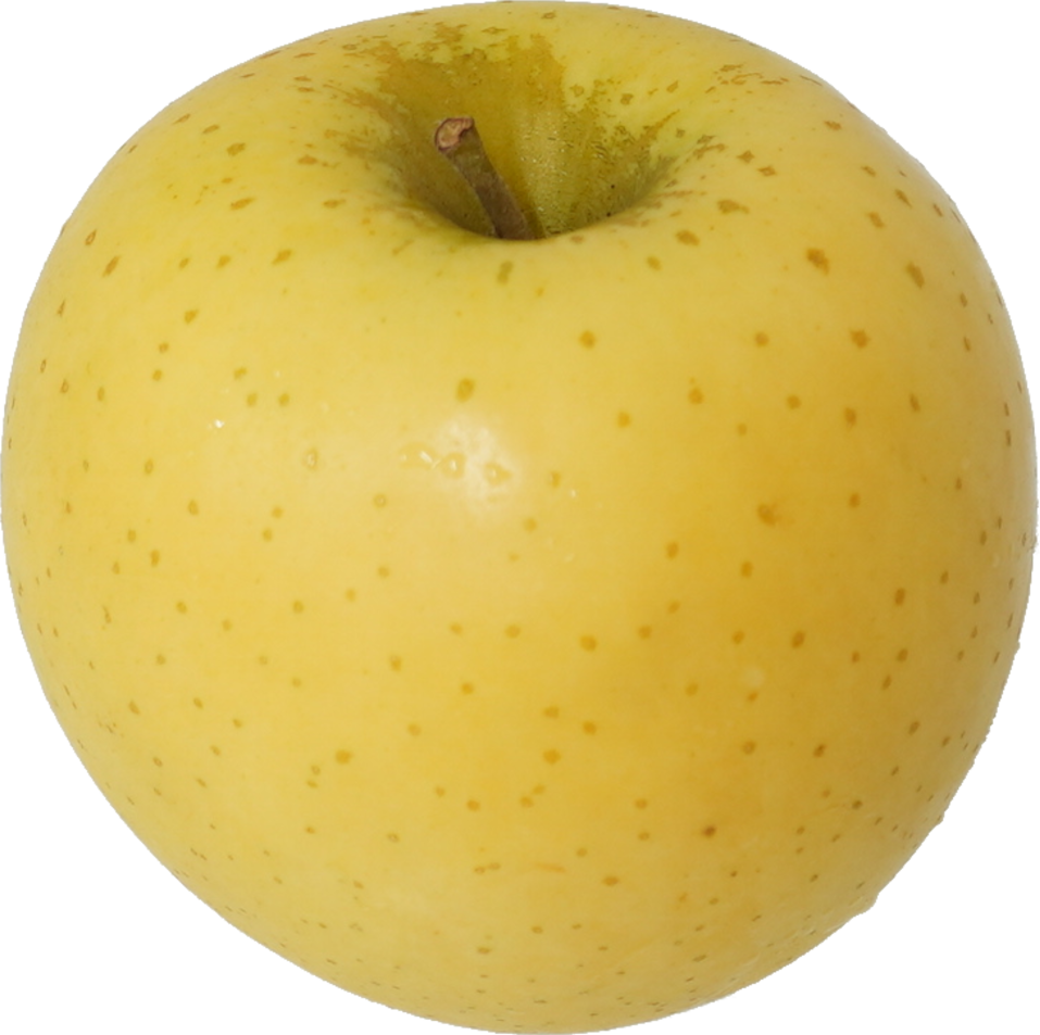りんご（しなのゴールド）｜商用可フリー画像・背景透過