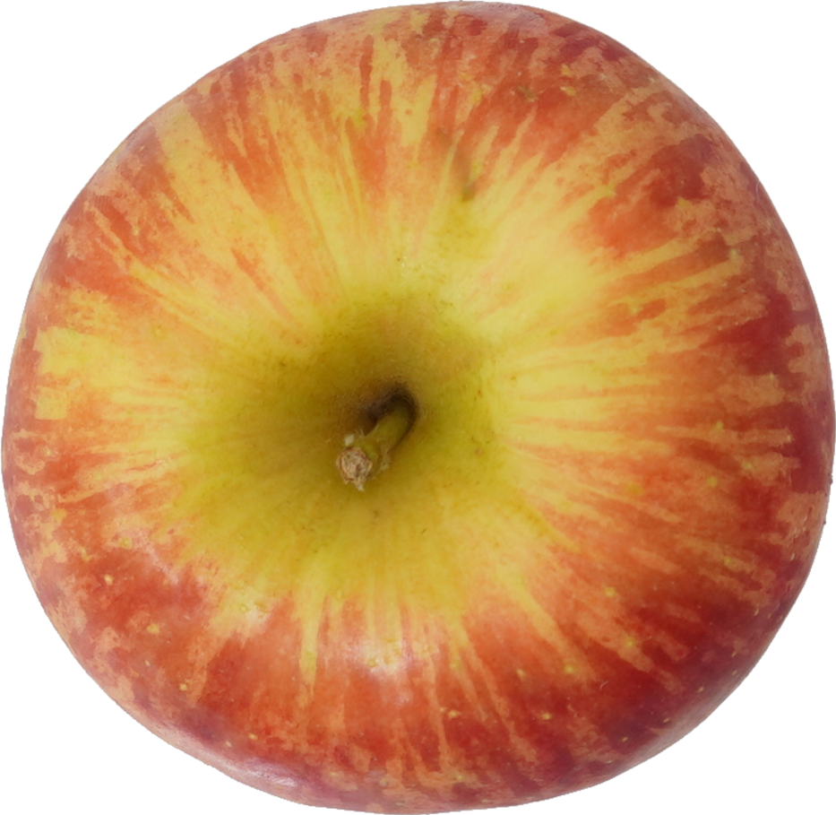 りんご（ふじ）｜商用可フリー画像・背景透過