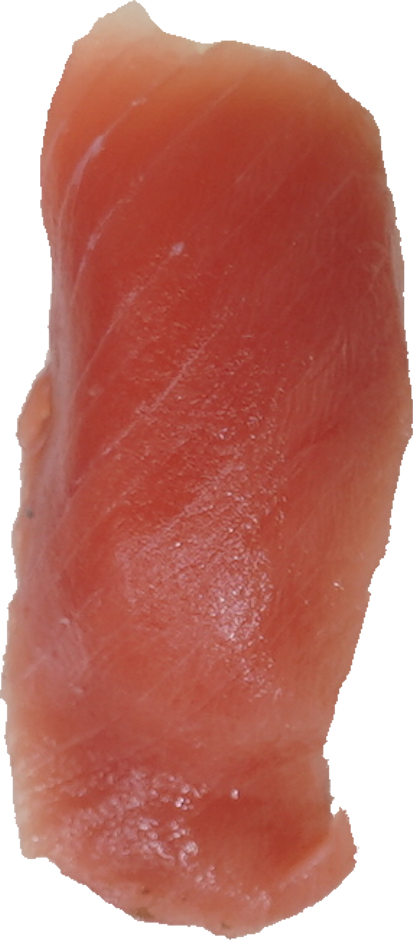 寿司（中とろ）｜商用可フリー画像・背景透過