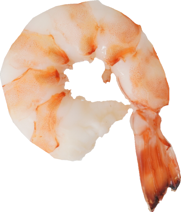 くるまえび（ゆで）｜商用可フリー画像・背景透過