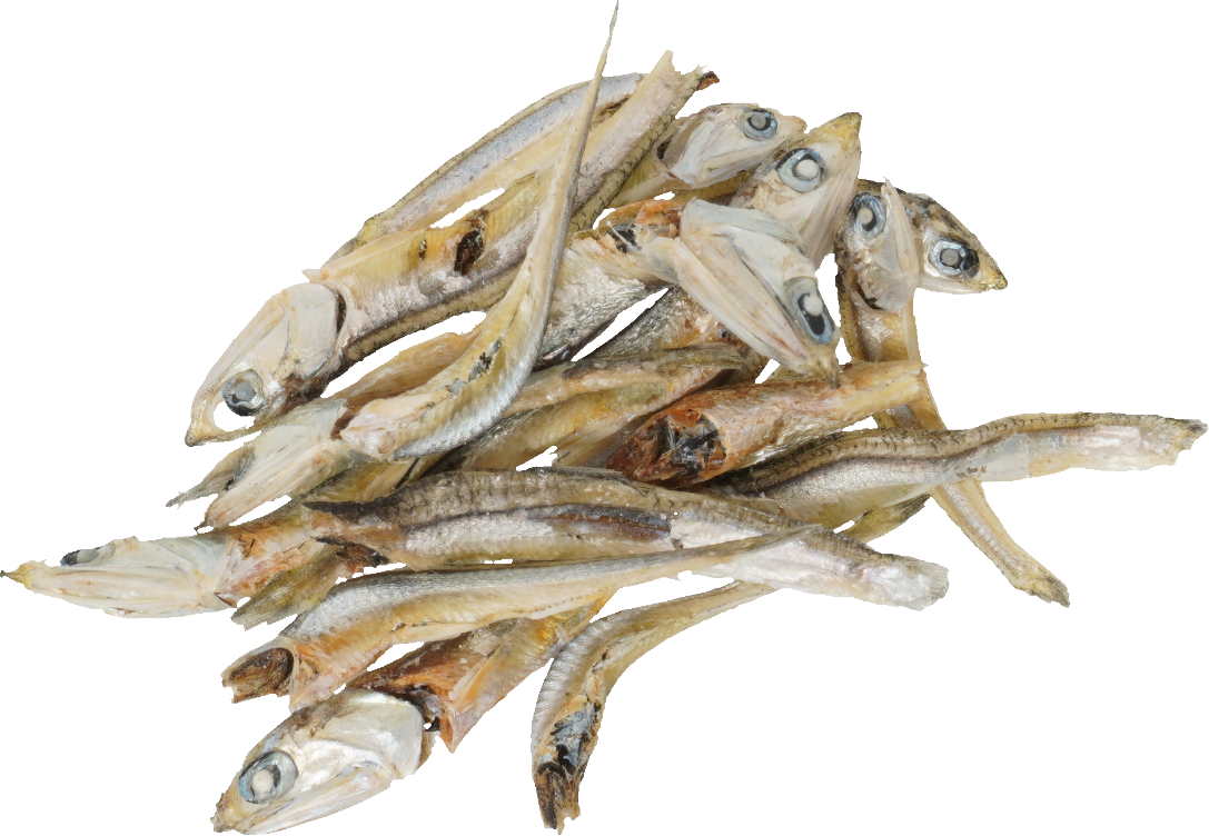 かたくちいわし（煮干し）｜商用可フリー画像・背景透過