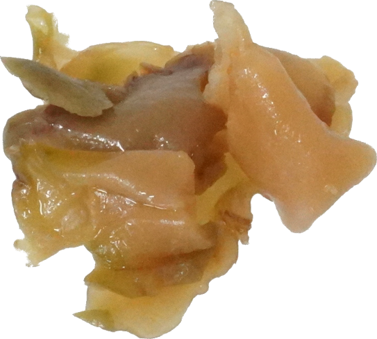 ザーサイ｜商用可フリー画像・背景透過