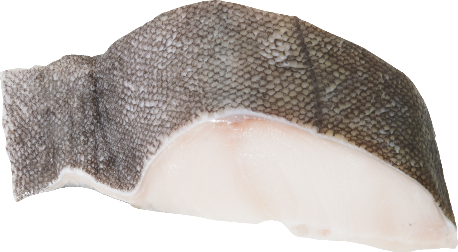 かれい（ぎんだら）｜商用可フリー画像・背景透過