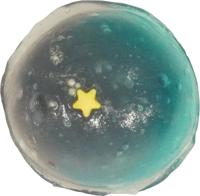 水まんじゅう（七夕）｜商用可フリー画像・背景透過