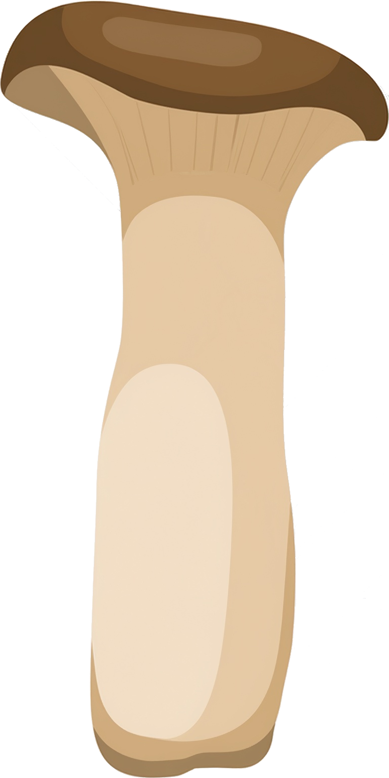 エリンギのイラスト｜商用可フリー画像・背景透過