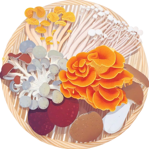 きのこ盛り合わせのイラスト｜商用可フリー画像・背景透過