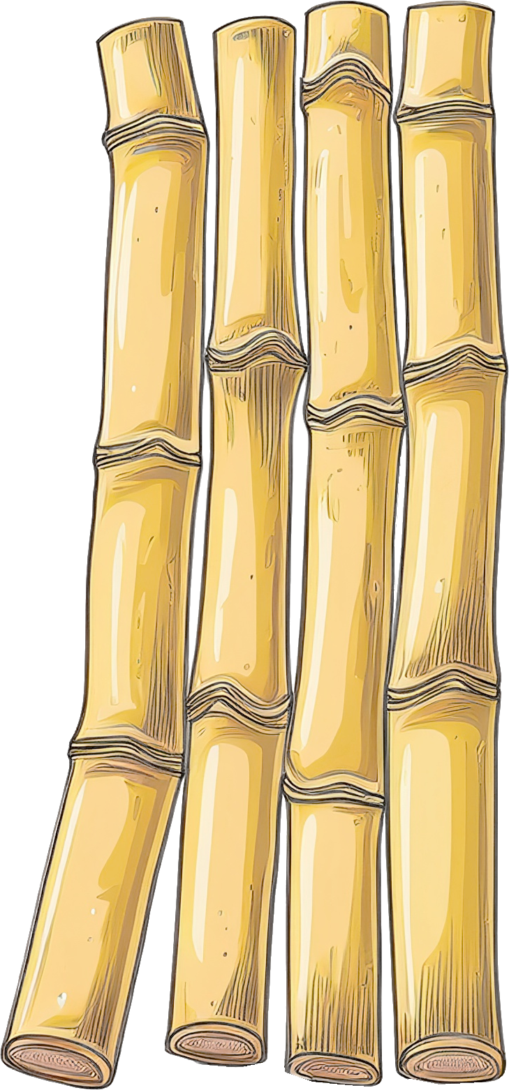 さとうきびのイラスト｜商用可フリー画像・背景透過