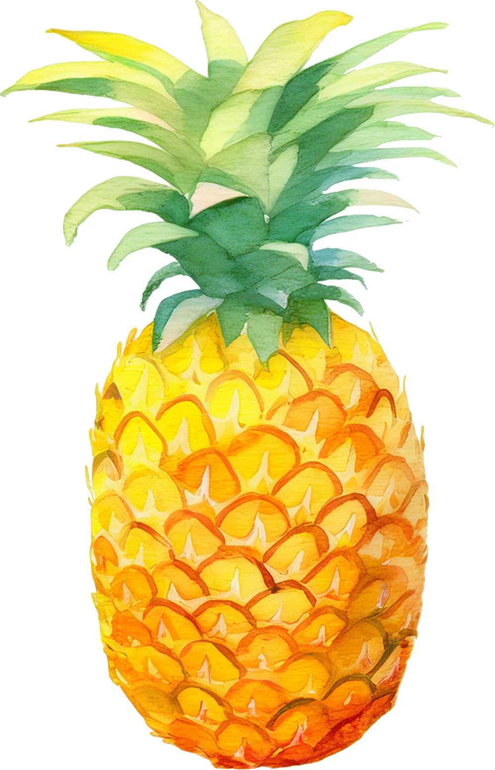 パインアップルのイラスト｜商用可フリー画像・背景透過
