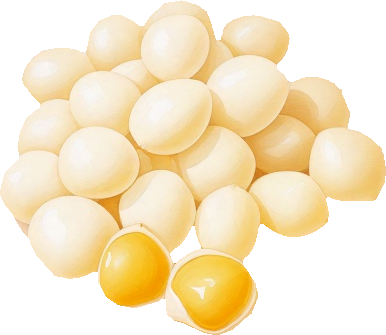 ぎんなんのイラスト｜商用可フリー画像・背景透過