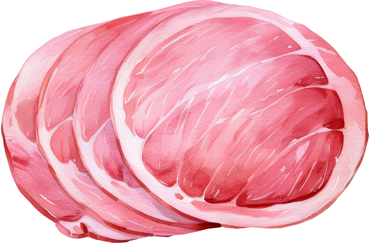 ハムのイラスト｜商用可フリー画像・背景透過