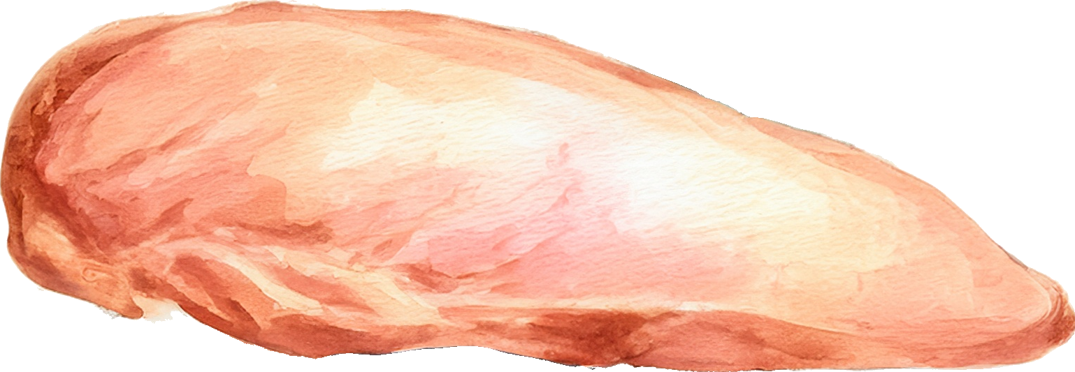 鶏-ささみのイラスト｜商用可フリー画像・背景透過