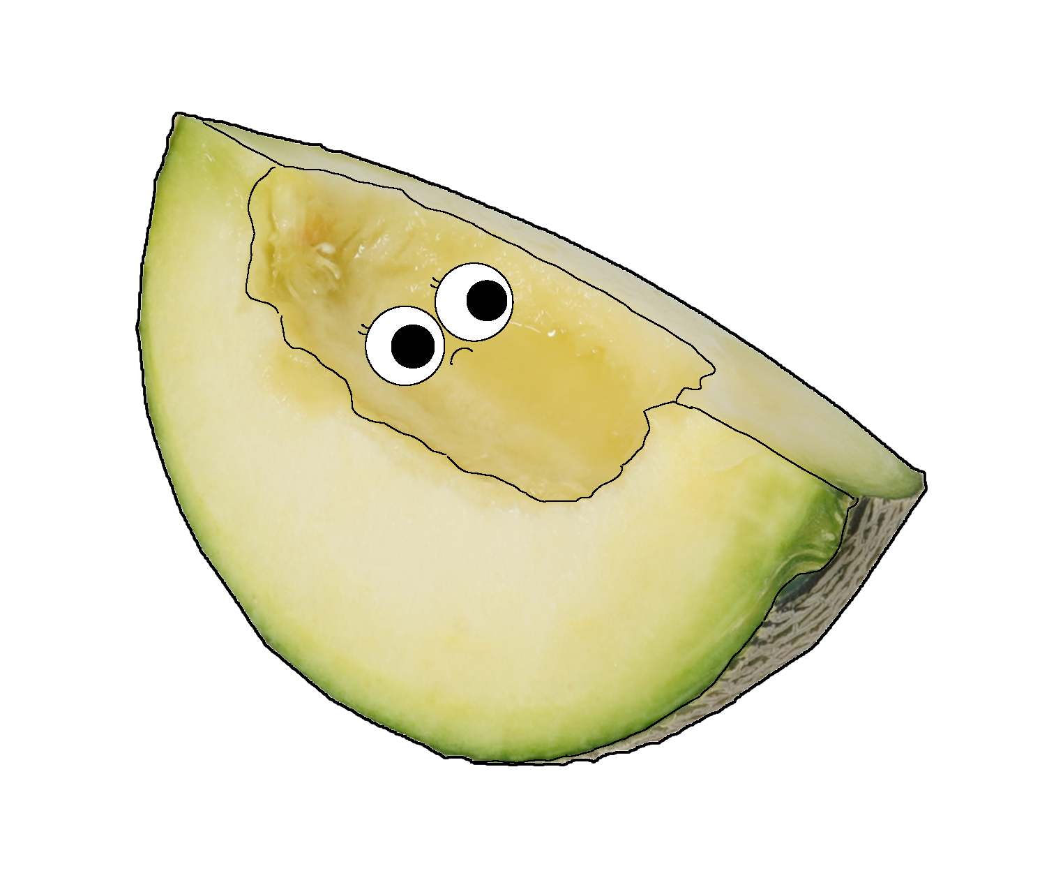 メロンのイラスト｜商用可フリー画像・背景透過