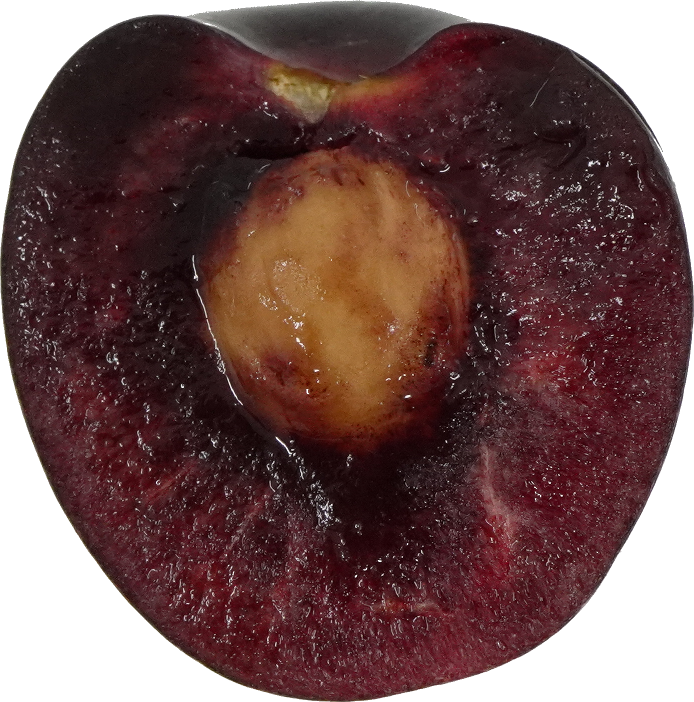 さくらんぼ（アメリカンチェリー）｜商用可フリー画像・背景透過