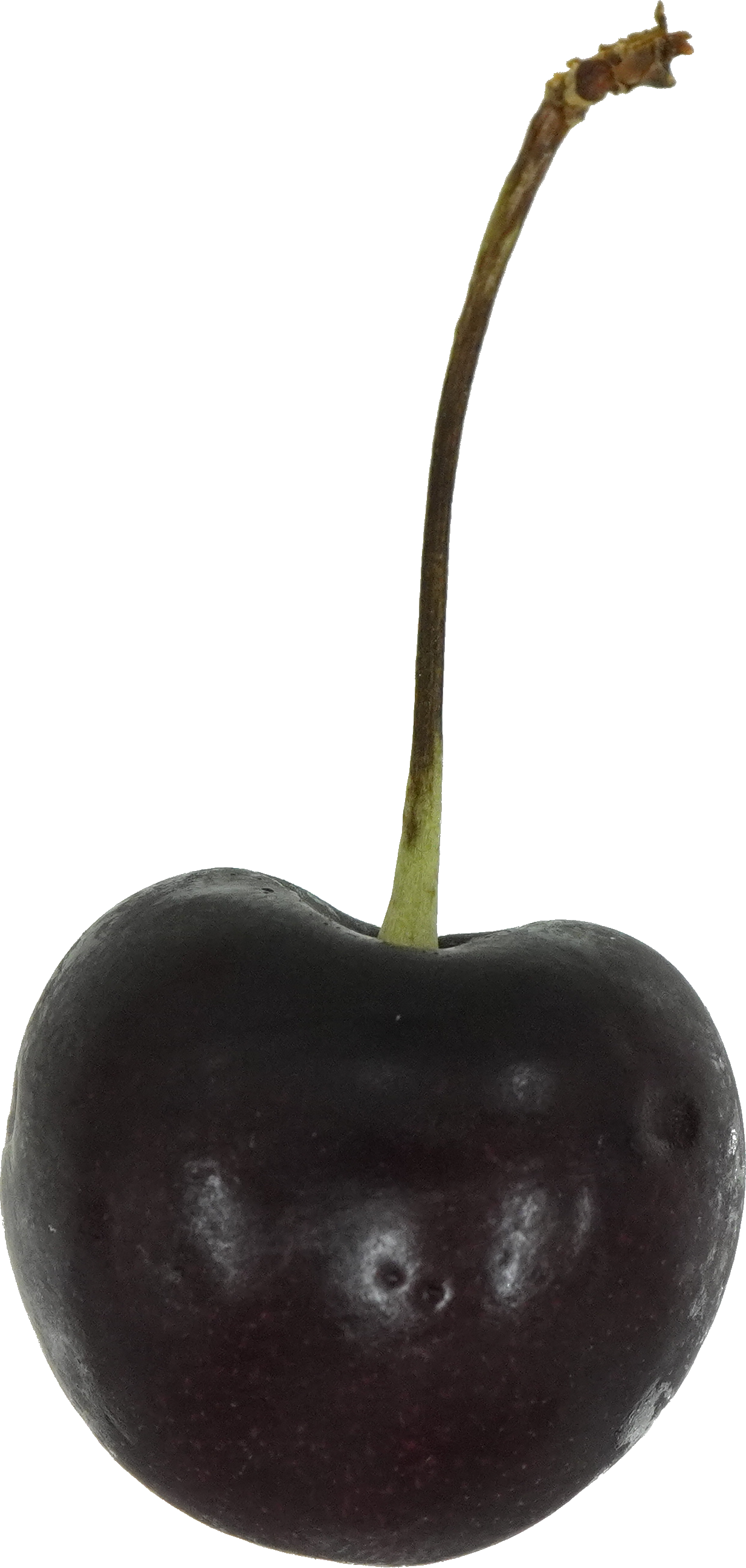 さくらんぼ（アメリカンチェリー）｜商用可フリー画像・背景透過