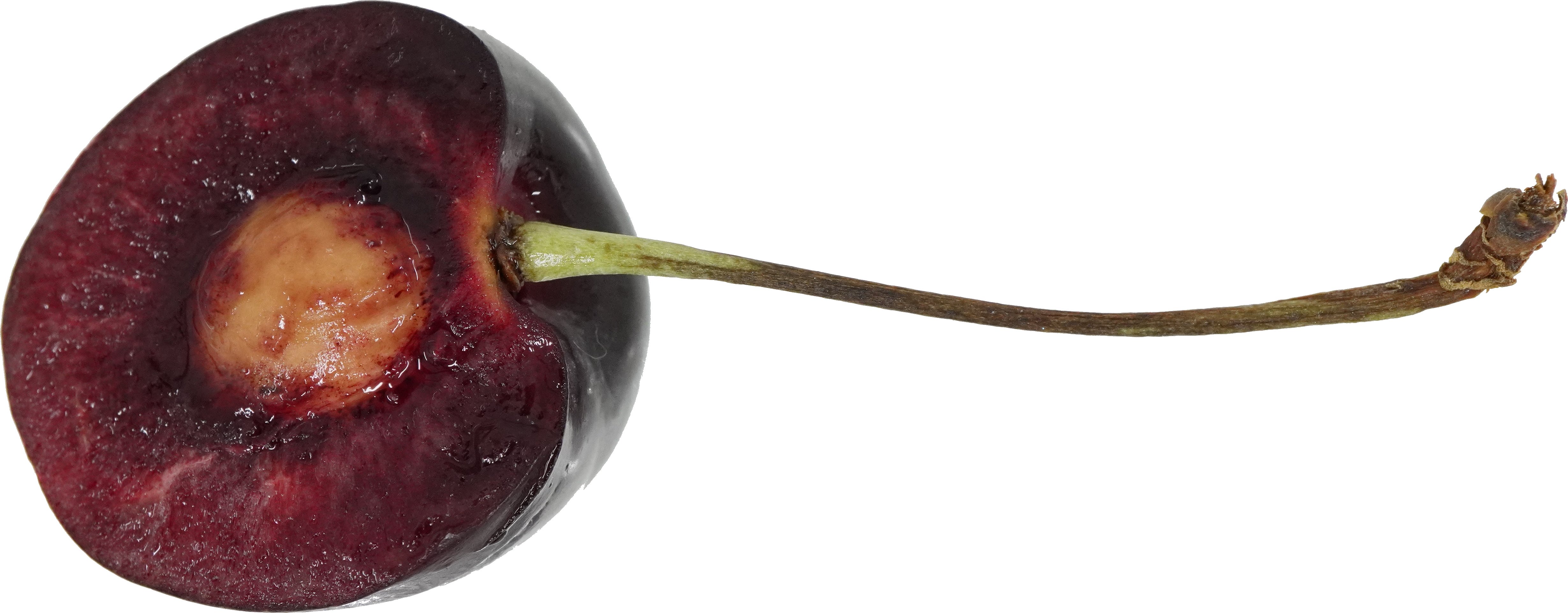 さくらんぼ（アメリカンチェリー）｜商用可フリー画像・背景透過