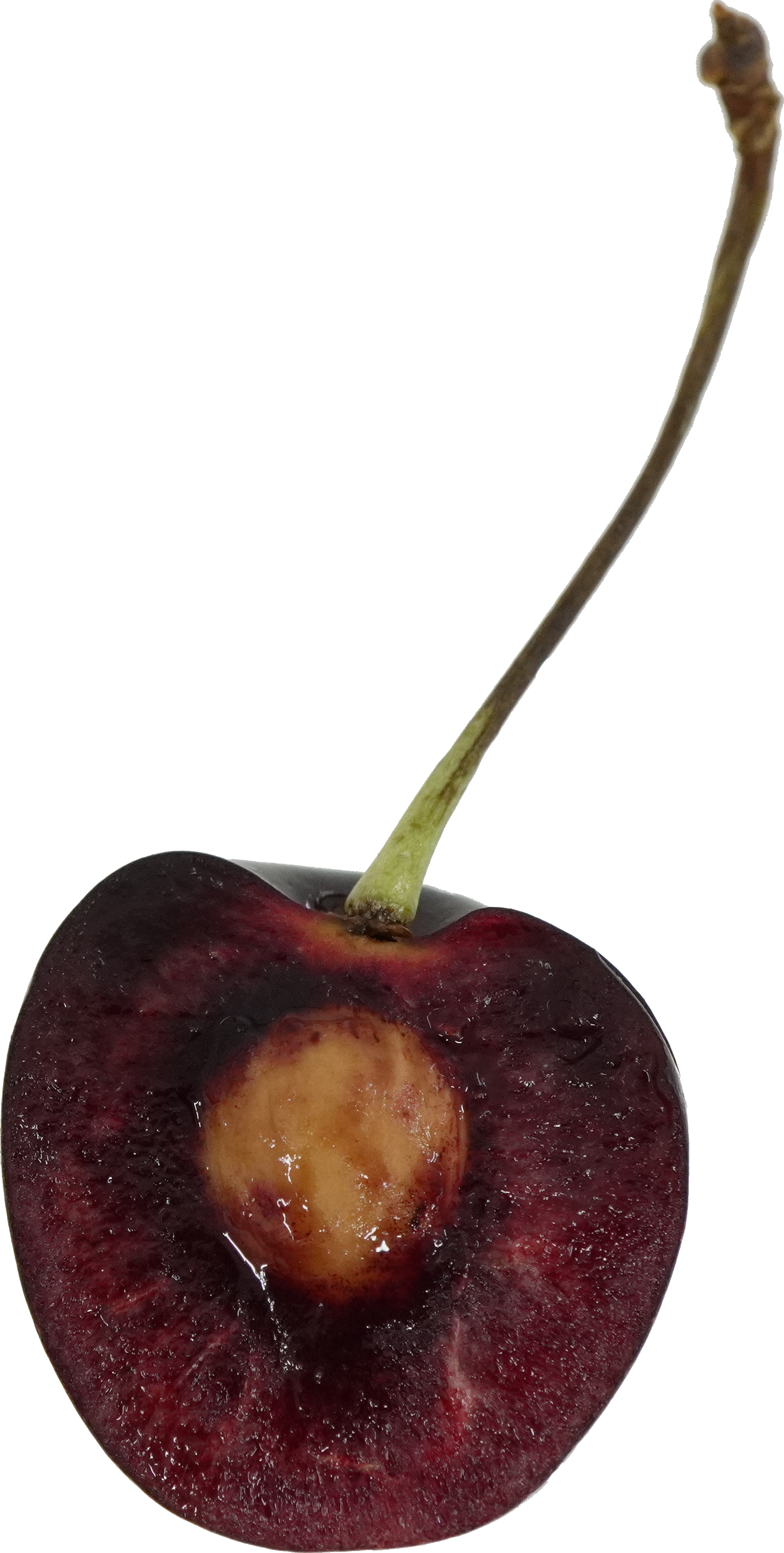 さくらんぼ（アメリカンチェリー）｜商用可フリー画像・背景透過