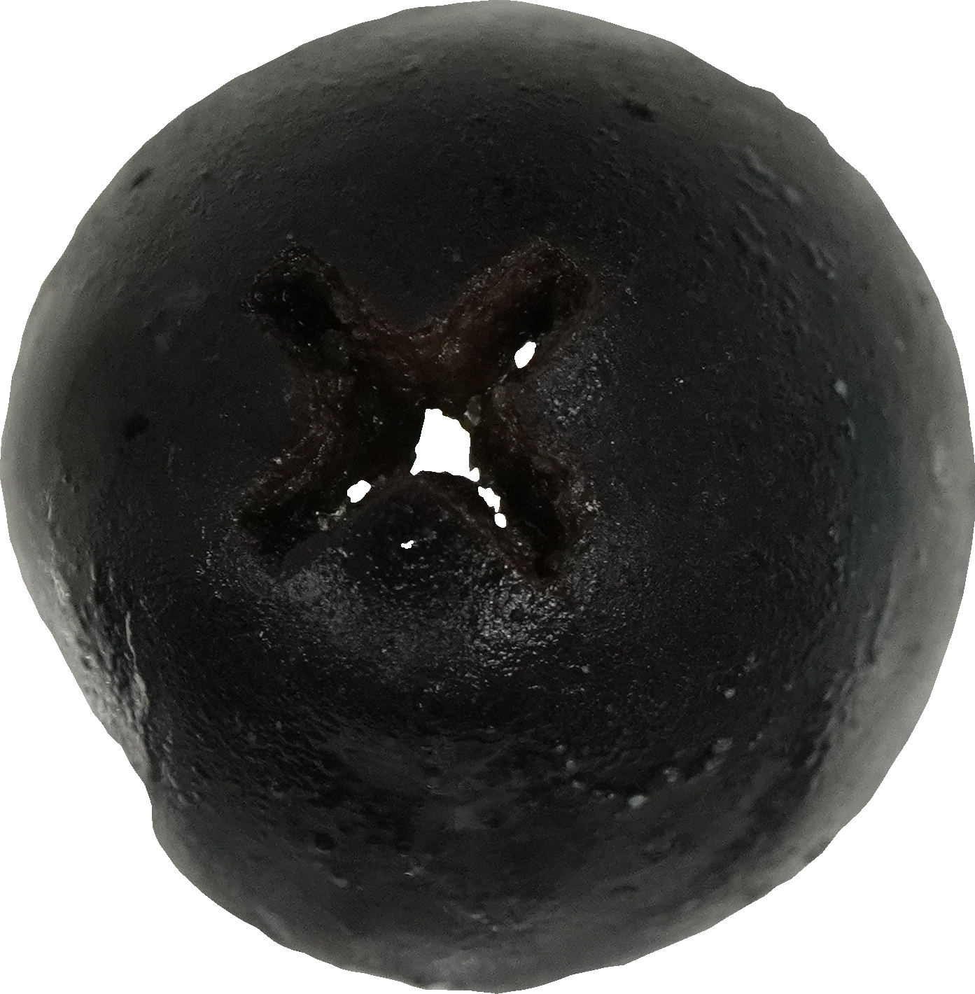 オリーブ｜商用可フリー画像・背景透過