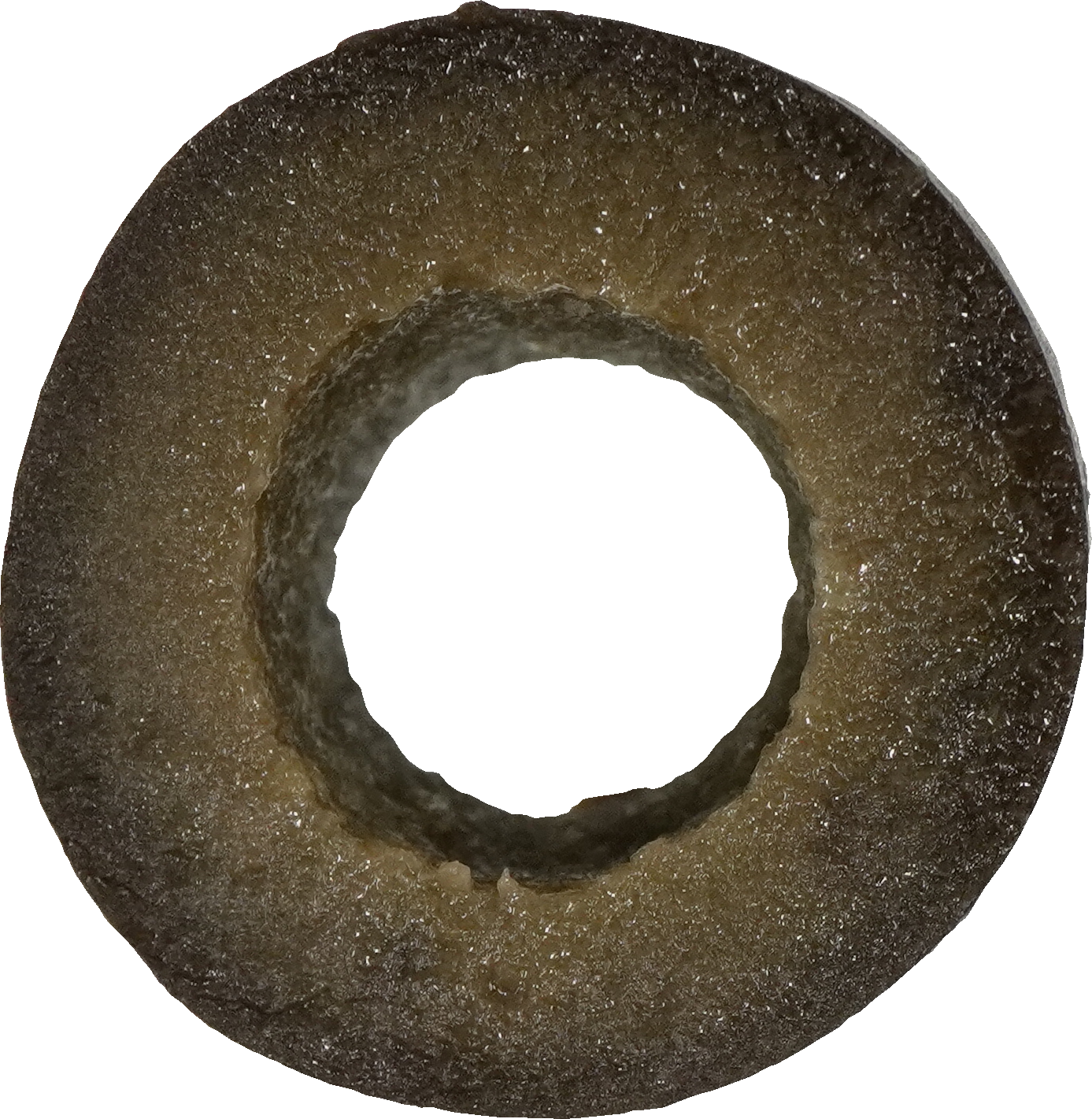 オリーブ｜商用可フリー画像・背景透過