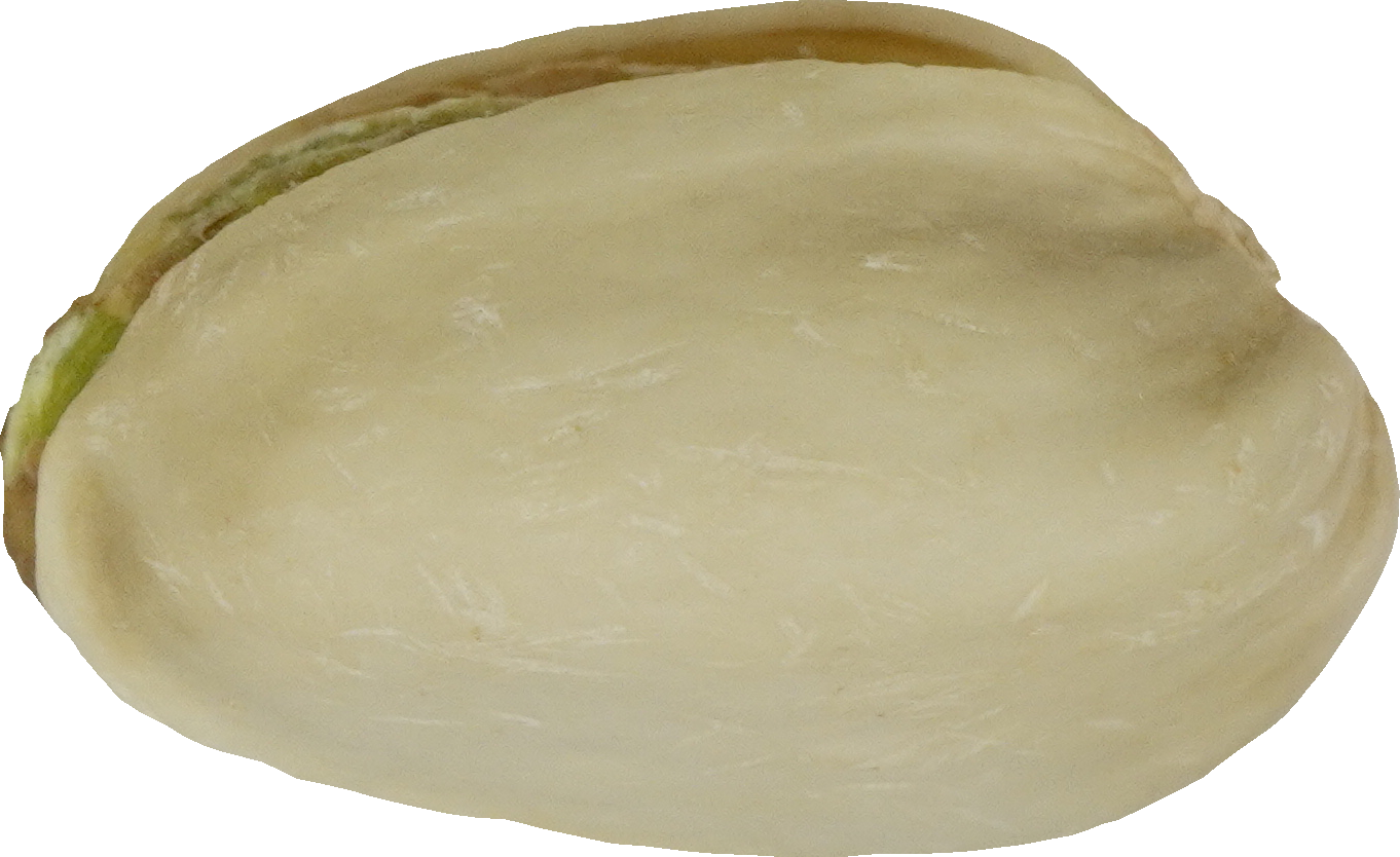 ピスタチオ｜商用可フリー画像・背景透過