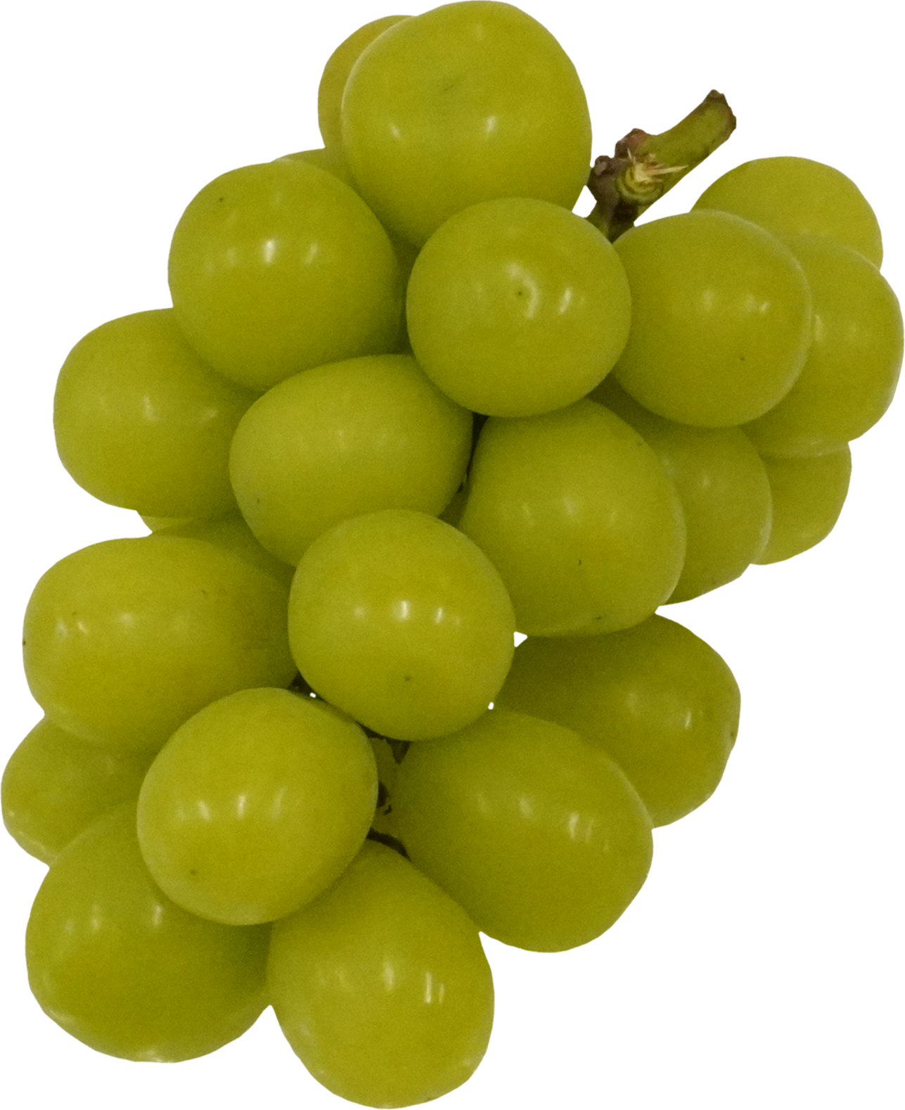 シャインマスカット｜商用可フリー画像・背景透過