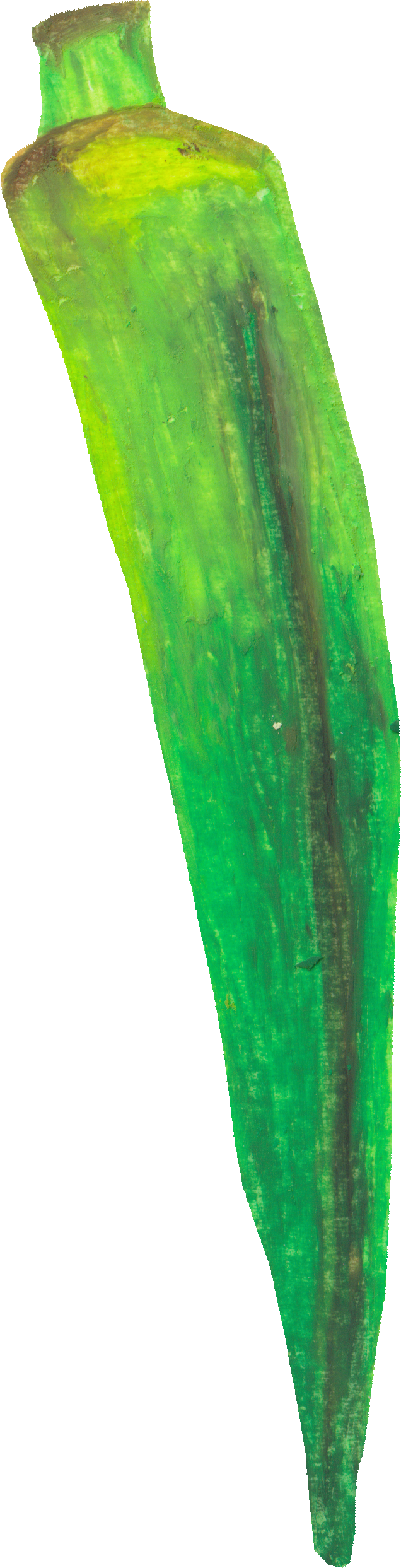 オクラのイラスト｜商用可フリー画像・背景透過