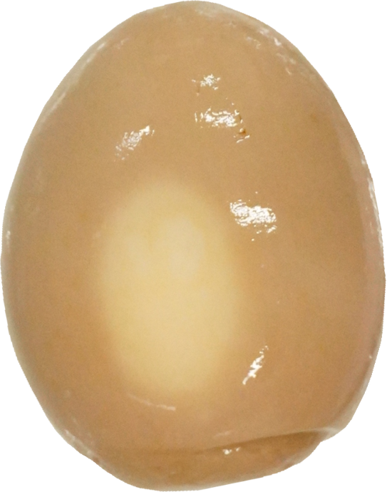 麻薬卵｜商用可フリー画像・背景透過