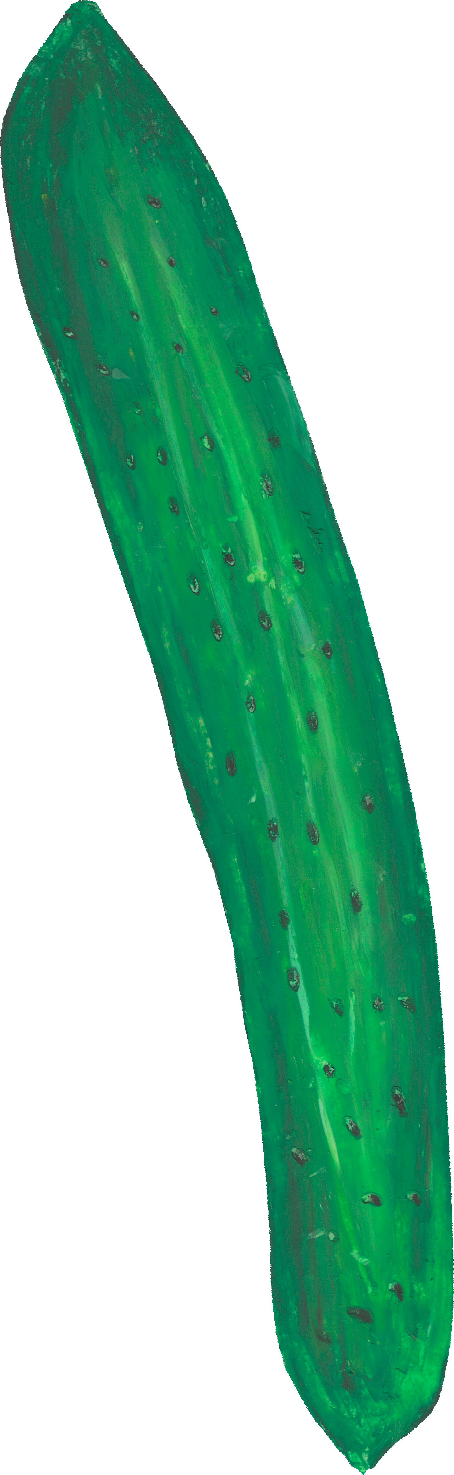 きゅうりのイラスト｜商用可フリー画像・背景透過