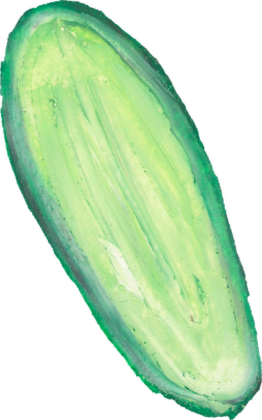 きゅうりのイラスト｜商用可フリー画像・背景透過