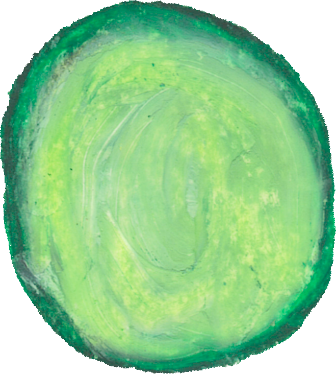 きゅうりのイラスト｜商用可フリー画像・背景透過